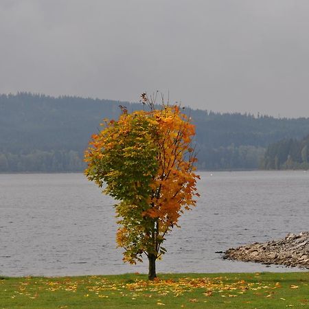 Studio Apartments Lipno 22, 24 Lipno nad Vltavou Værelse billede