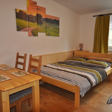 Studio Apartments Lipno 22, 24 Lipno nad Vltavou Værelse billede