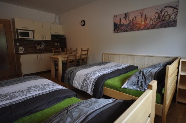 Studio Apartments Lipno 22, 24 Lipno nad Vltavou Værelse billede