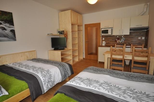 Studio Apartments Lipno 22, 24 Lipno nad Vltavou Værelse billede