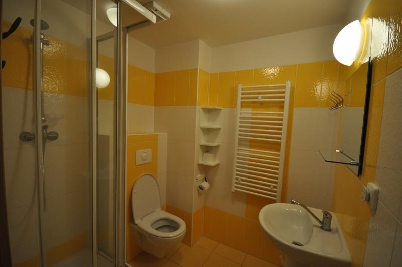 Studio Apartments Lipno 22, 24 Lipno nad Vltavou Værelse billede