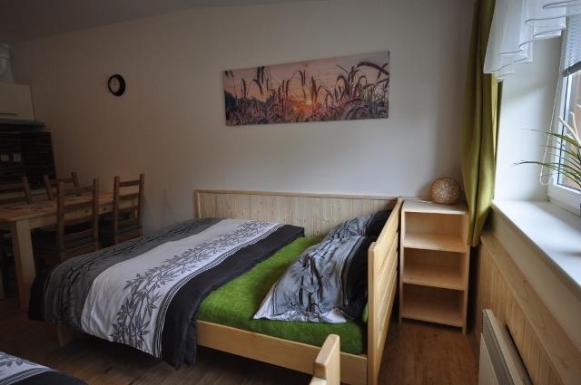 Studio Apartments Lipno 22, 24 Lipno nad Vltavou Værelse billede
