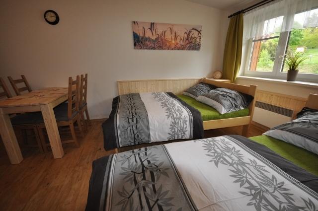 Studio Apartments Lipno 22, 24 Lipno nad Vltavou Værelse billede