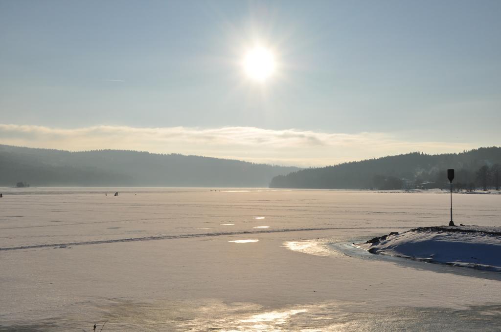 Studio Apartments Lipno 22, 24 Lipno nad Vltavou Værelse billede