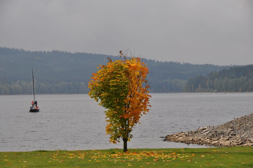 Studio Apartments Lipno 22, 24 Lipno nad Vltavou Værelse billede