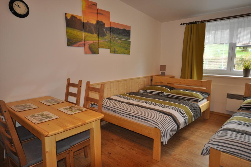 Studio Apartments Lipno 22, 24 Lipno nad Vltavou Værelse billede