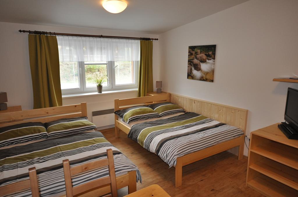 Studio Apartments Lipno 22, 24 Lipno nad Vltavou Værelse billede