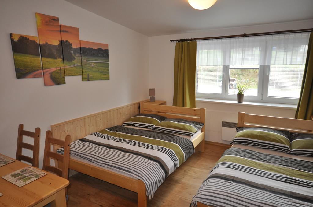 Studio Apartments Lipno 22, 24 Lipno nad Vltavou Værelse billede